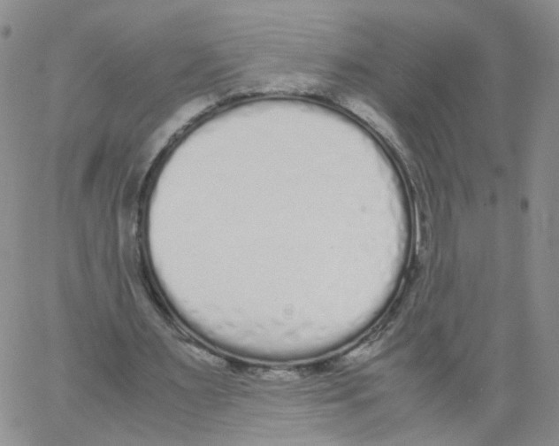 X0000062900483200602101811