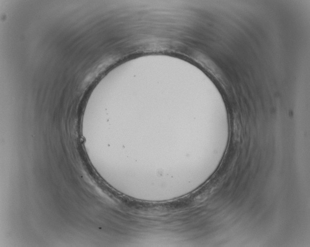 X0000062900485200602101811