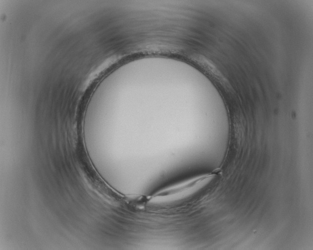 X0000062900488200602101811