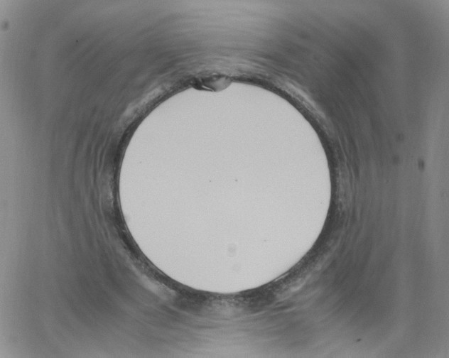 X0000062900489200602101811