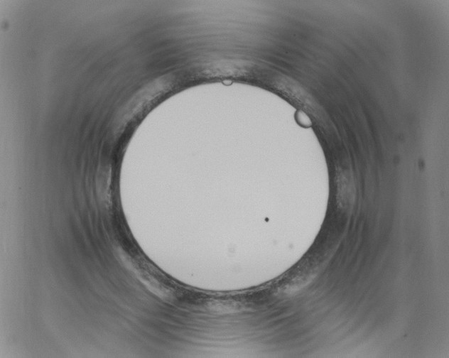 X0000062900490200602101811