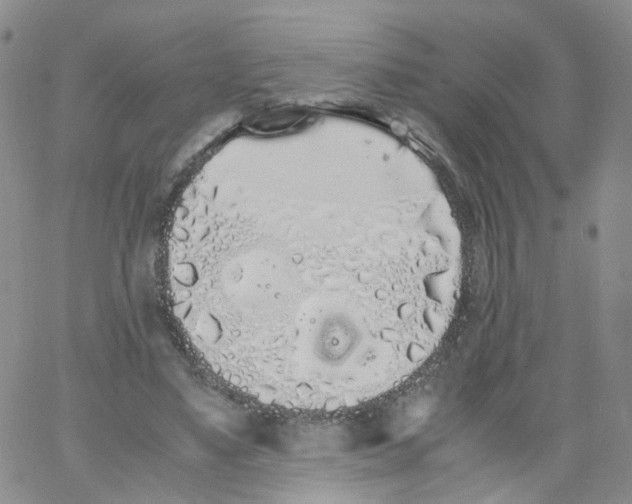 X0000062900491200602101811