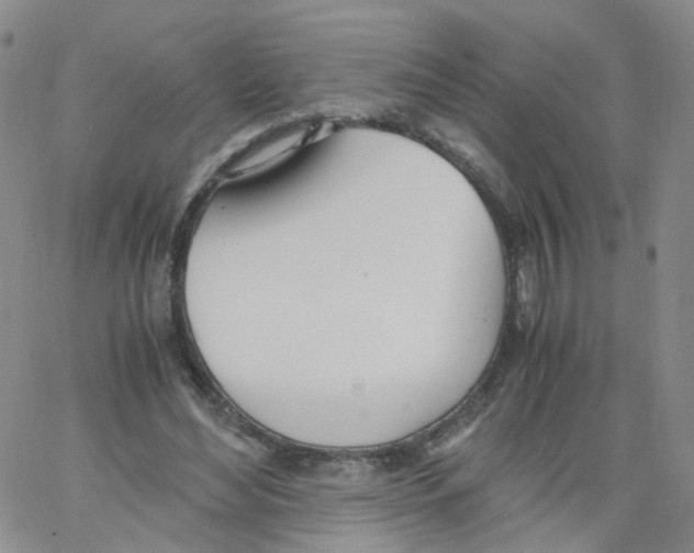 X0000062900492200602101811