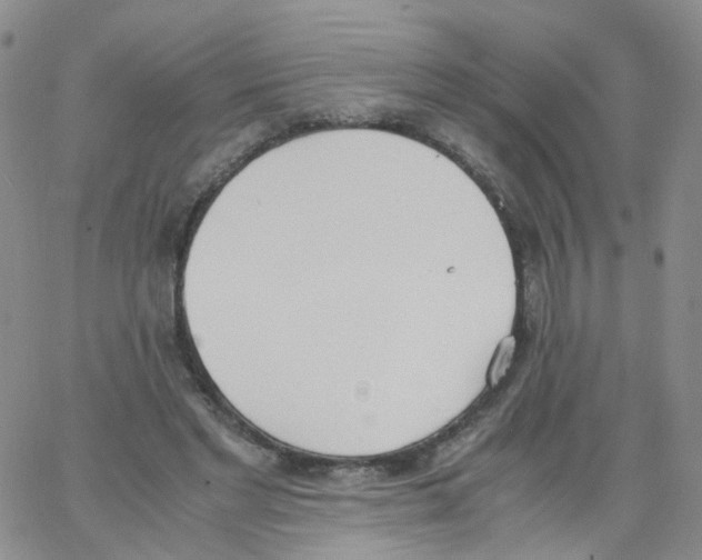 X0000062900493200602101811