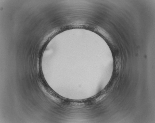 X0000062900494200602101811