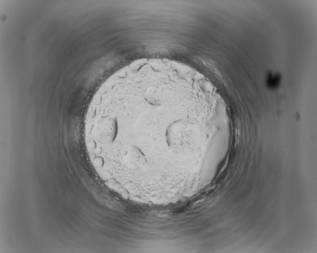 X0000062900495200602101811