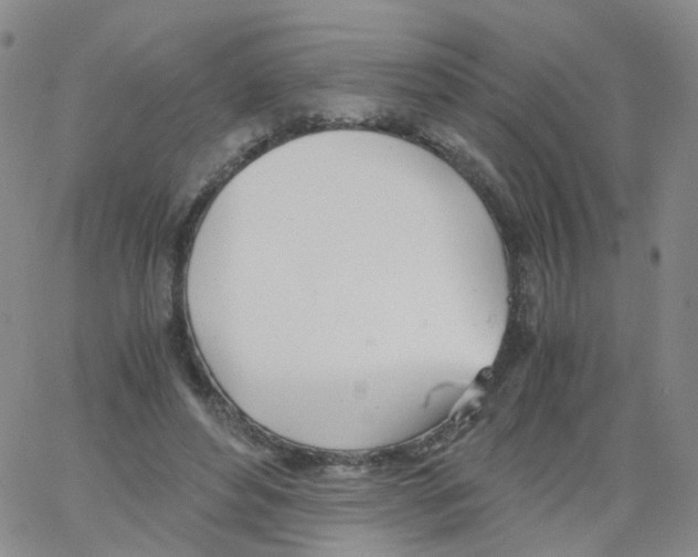 X0000062900496200602101810