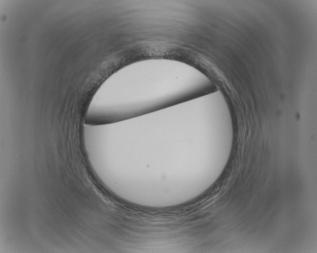 X0000062900497200602101810