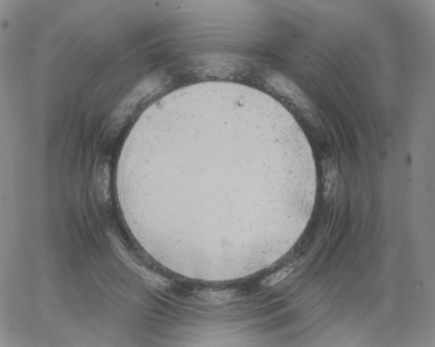 X0000062900498200602101810