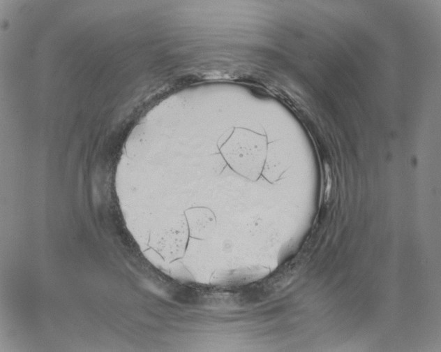 X0000062900499200602101810