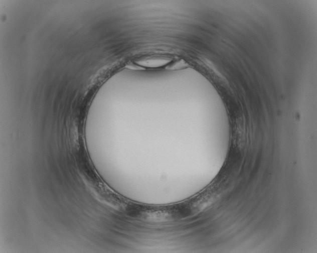 X0000062900500200602101810