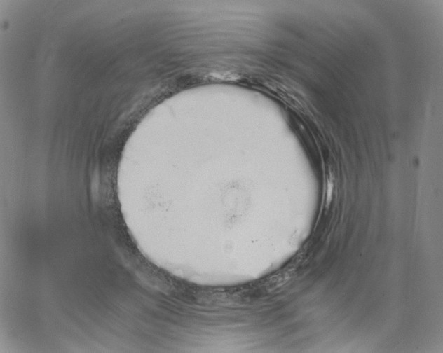 X0000062900503200602101810