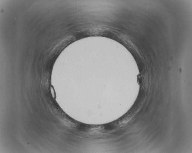 X0000062900505200602101810