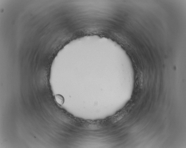 X0000062900506200602101810