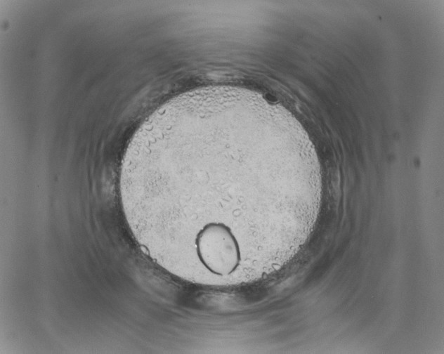 X0000062900507200602101810