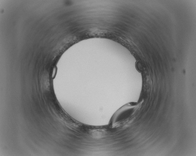 X0000062900508200602101810