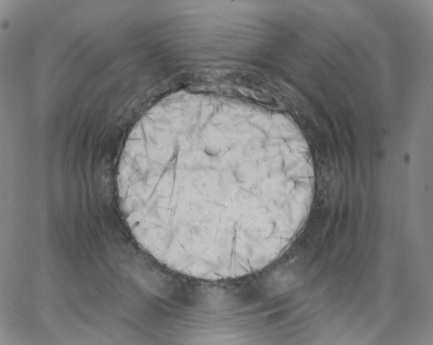 X0000062900510200602101810