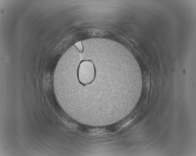 X0000062900511200602101810