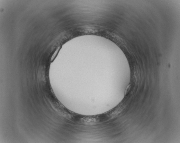 X0000062900512200602101810