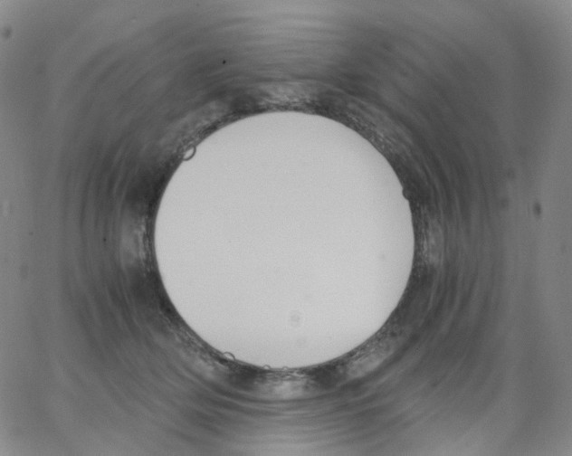 X0000062900514200602101810