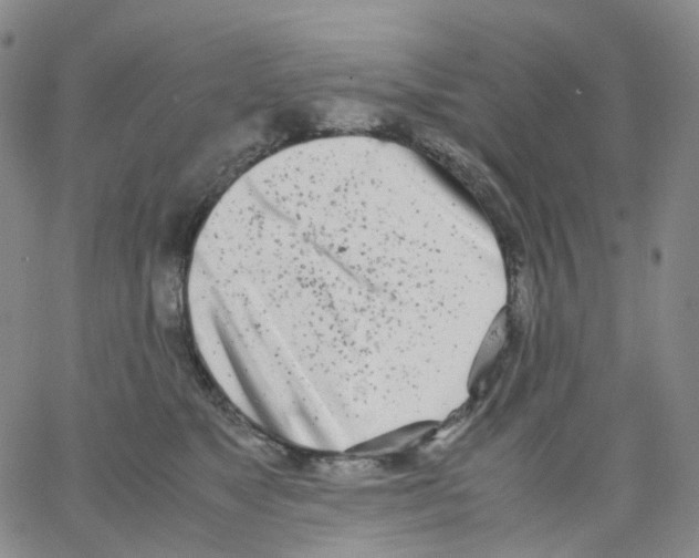 X0000062900517200602101810