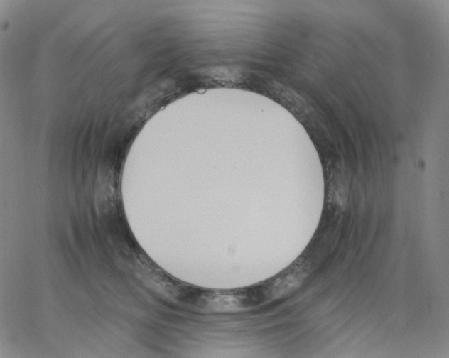 X0000062900518200602101810