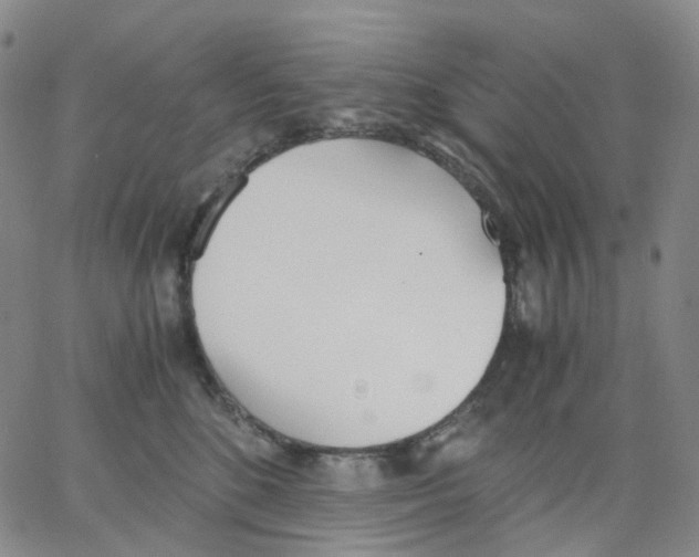 X0000062900520200602101810