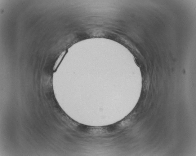 X0000062900521200602101810