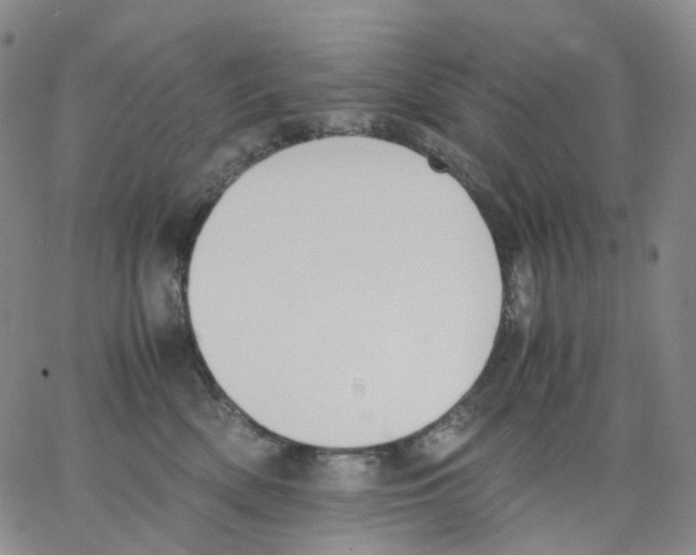 X0000062900522200602101810