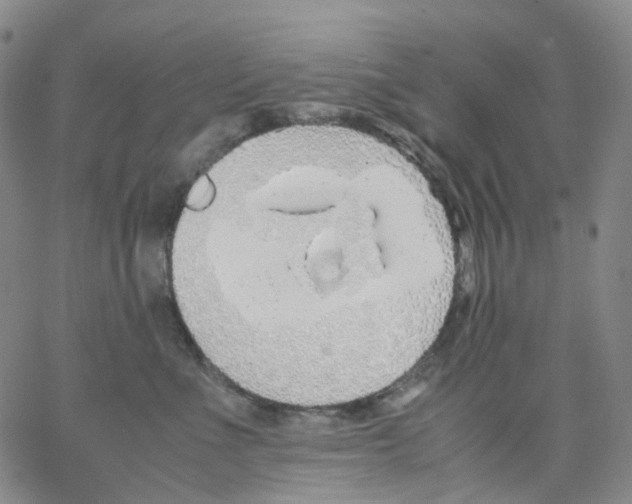 X0000062900523200602101810