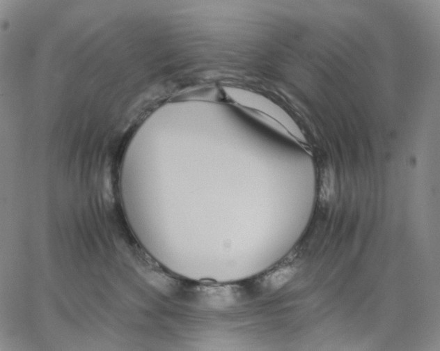 X0000062900524200602101810