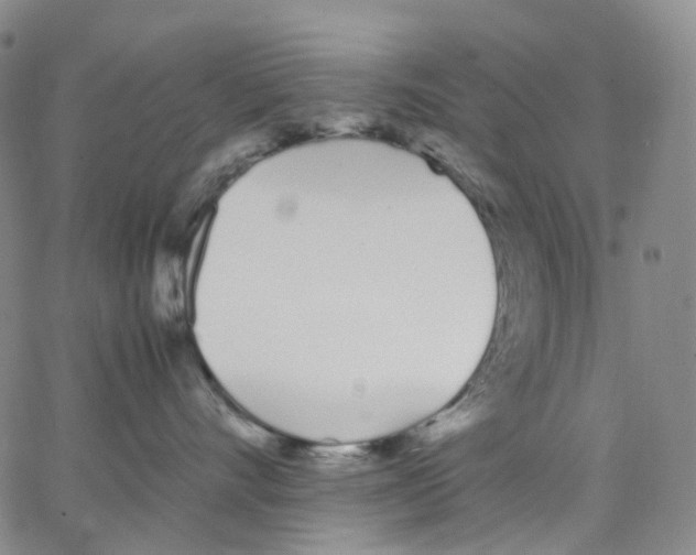 X0000062900528200602101810