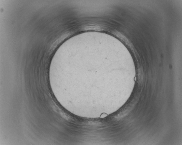 X0000062900529200602101809