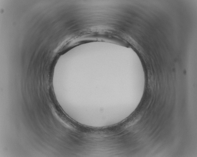 X0000062900530200602101809