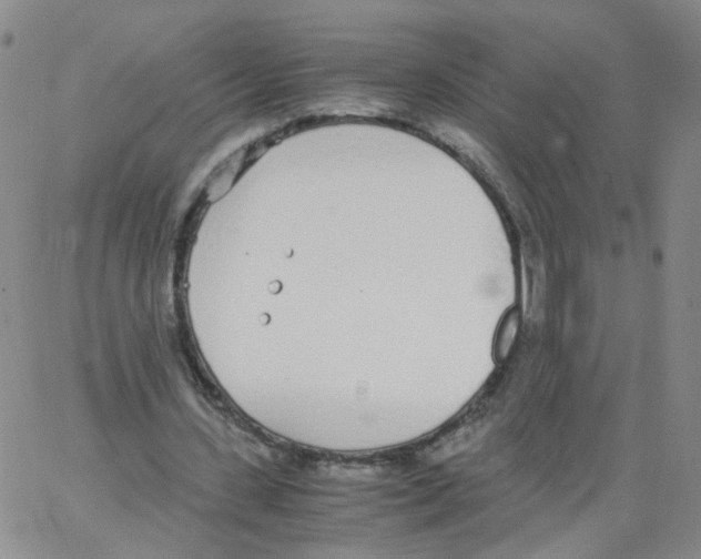 X0000062900531200602101809