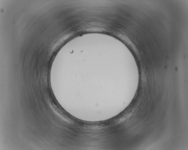 X0000062900533200602101809