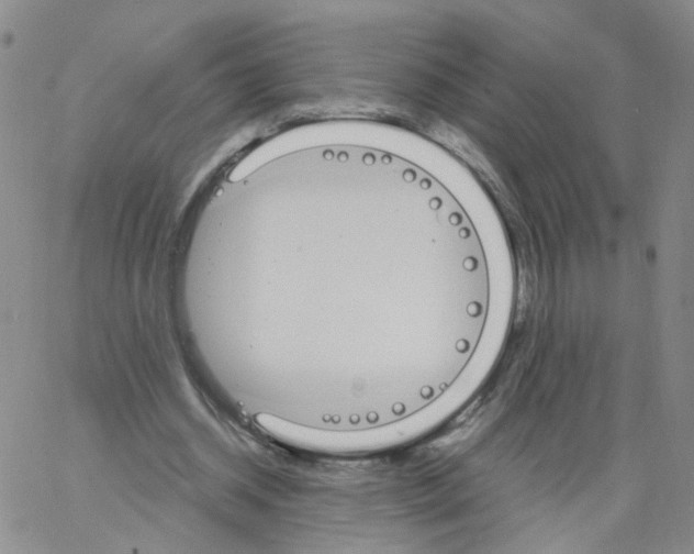 X0000062900534200602101809