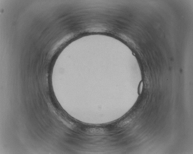 X0000062900535200602101809