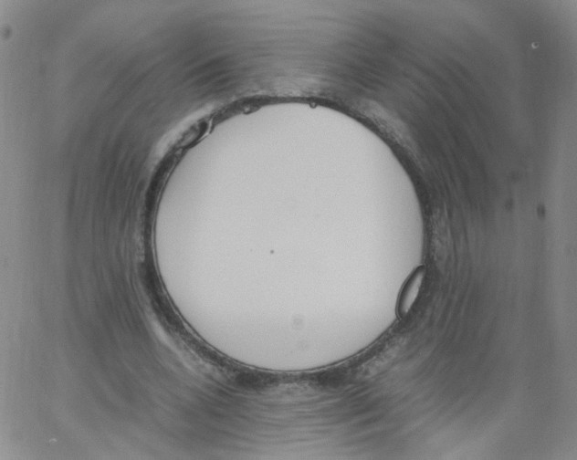 X0000062900536200602101809