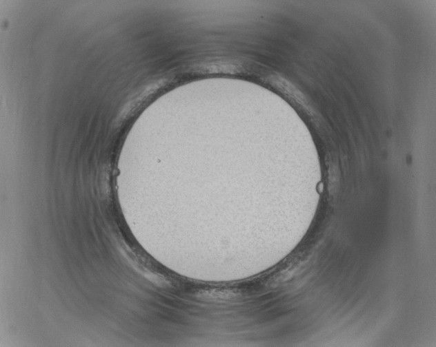 X0000062900537200602101809