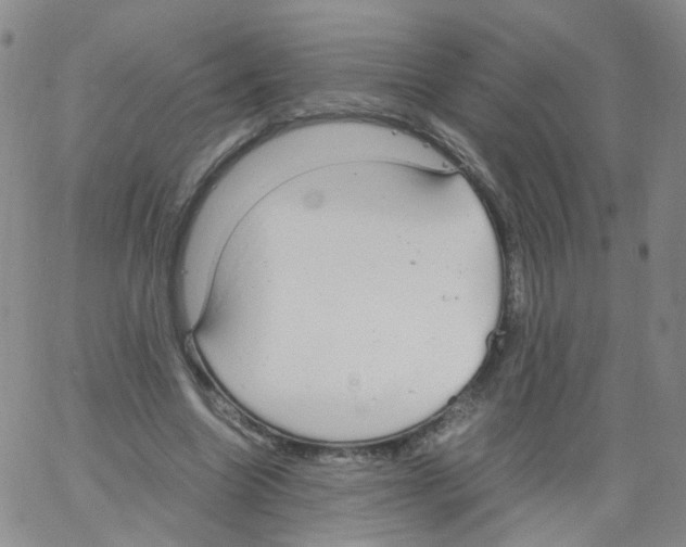 X0000062900538200602101809