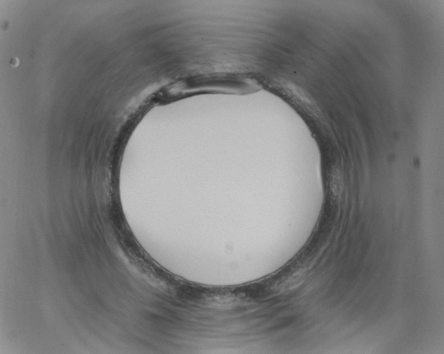 X0000062900540200602101809