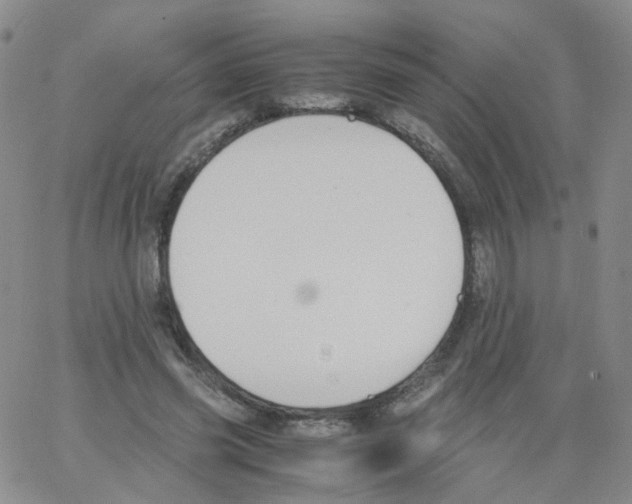 X0000062900541200602101809