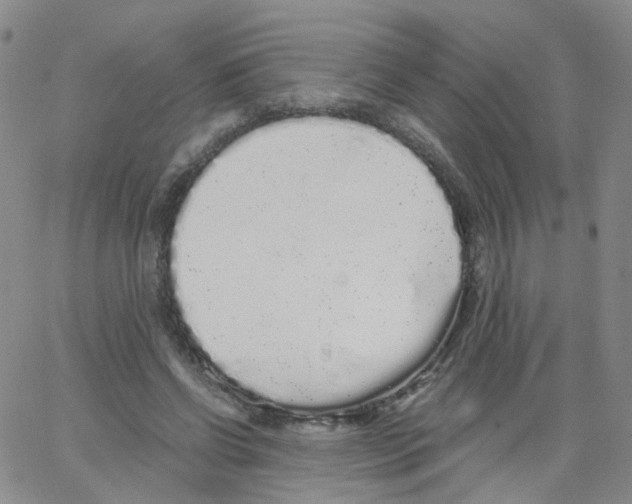 X0000062900542200602101809