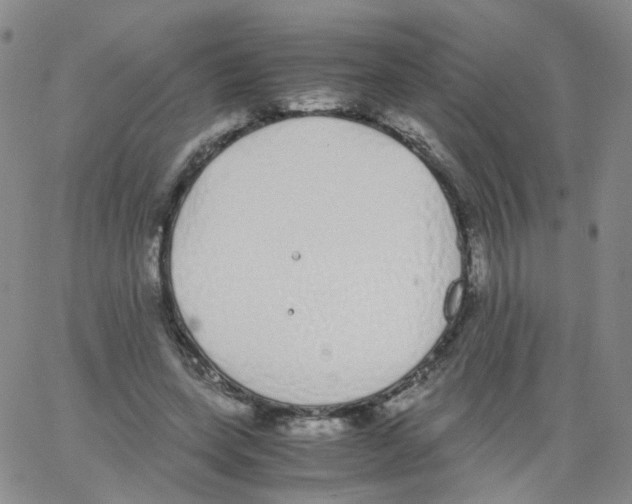 X0000062900543200602101809