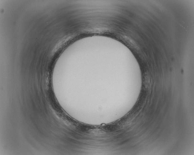 X0000062900544200602101809