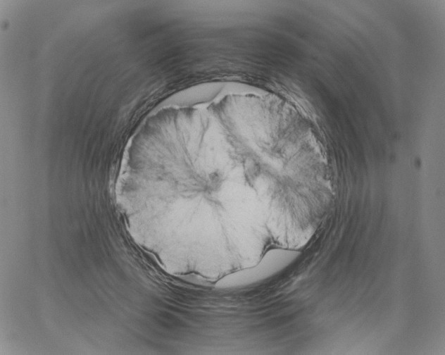 X0000062900545200602101809