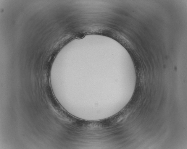 X0000062900546200602101809