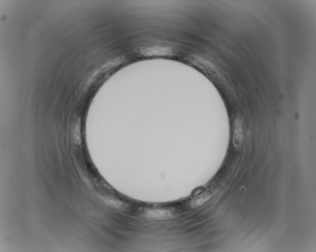 X0000062900547200602101809