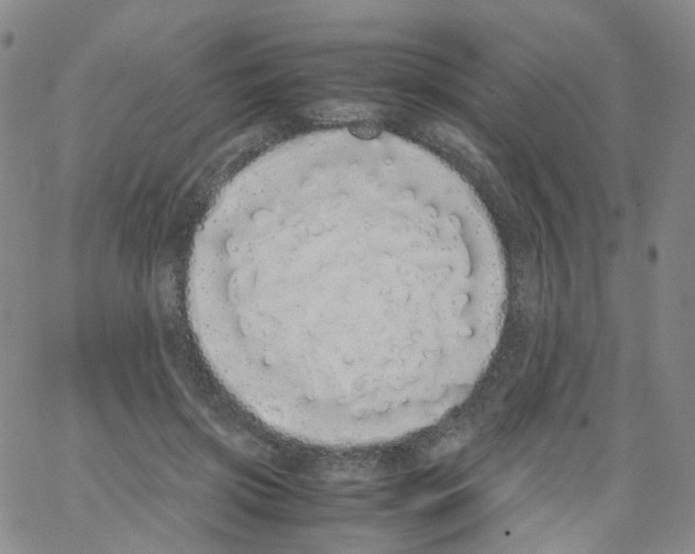 X0000062900549200602101809